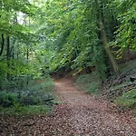Waldhotel Hotell