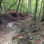 Waldhotel Hotell 3*