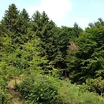 Hotell Waldhotel