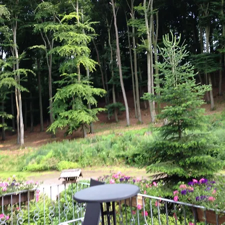 Waldhotel 3* Porta Westfalica