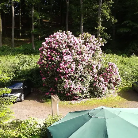 Waldhotel 3*