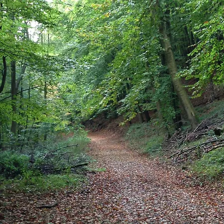 Waldhotel Szálloda