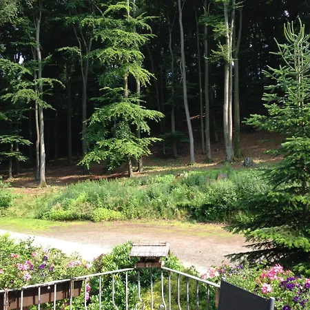 Szálloda Waldhotel