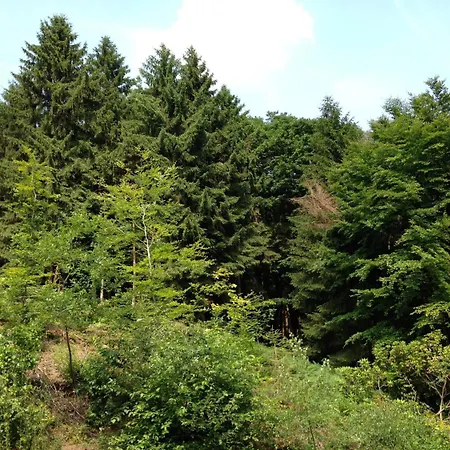 Szálloda Waldhotel