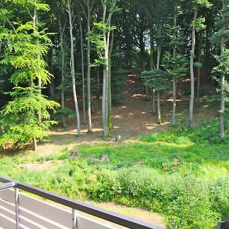 Waldhotel Szálloda 3*