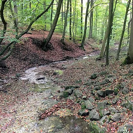 Waldhotel
