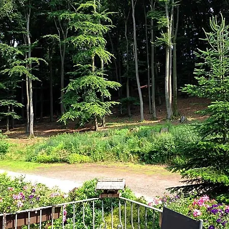 Waldhotel 3*