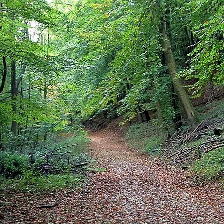 Waldhotel Hotel 3*