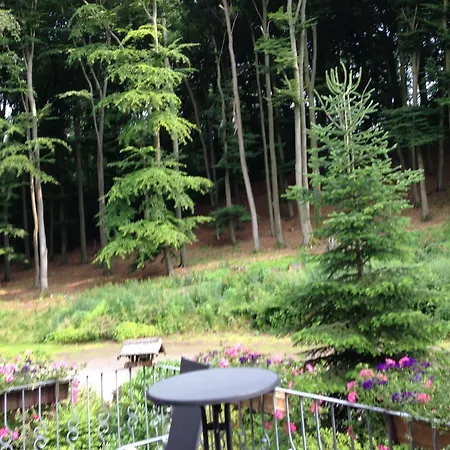 Waldhotel