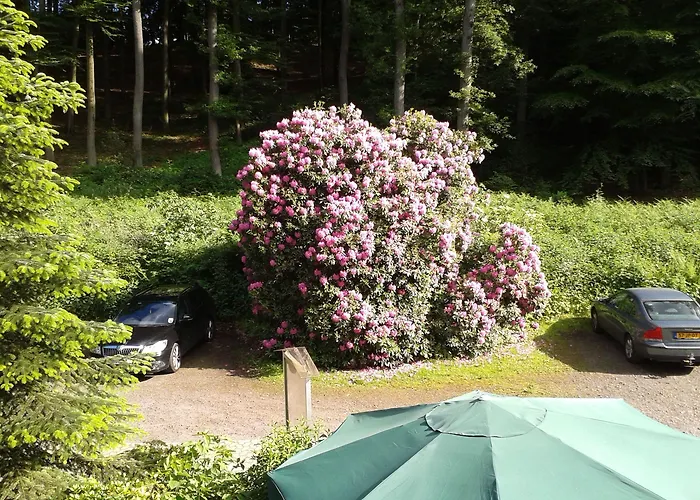 Waldhotel 3*