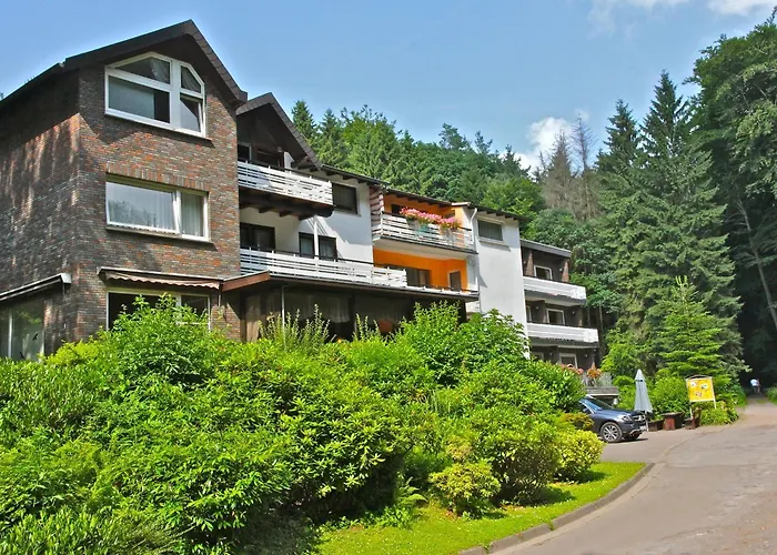 Waldhotel 3*