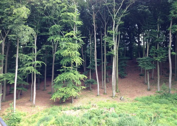 Waldhotel Hotel Porta Westfalica