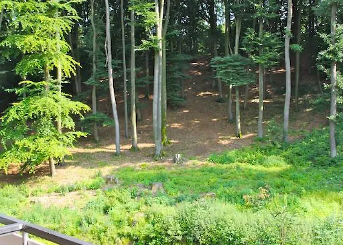 Waldhotel Hotel 3*